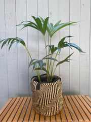 Zebra Crossing Sisal Basket / Handbag