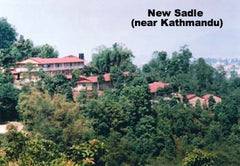 50 teabags from KTE tea garden, eastern Nepal