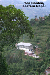 Nepali Tea in Shoulder Bag, 50 Teabags