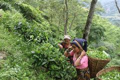 Nepali Tea in Shoulder Bag, 50 Teabags