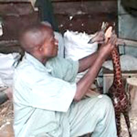 Global Crafts, US & others